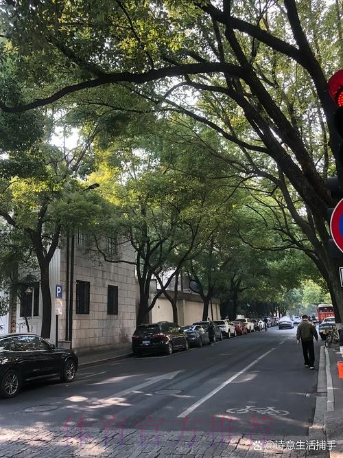 能更好!安帅:也许2-0之后 我们给对手太多反击机会 能更好!安帅:也许2-0之后 我们给对手太多反击机会